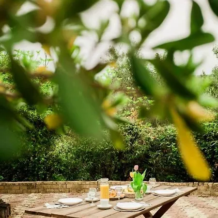 Ionian Escape Seaview Mesongí